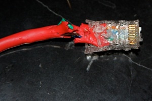 Chewed up network cable by Jeremiah Ro, CC BY-SA
